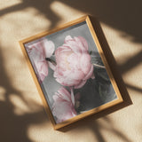 01643 Poster och Canvastavla