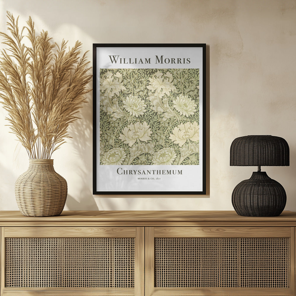 Chrysanthemum Poster och Canvastavla