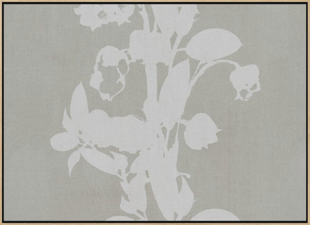 Botanical Illustration 4 Poster och Canvastavla