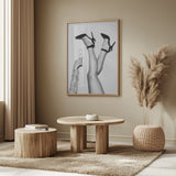 Champagne legs Black and White Poster och Canvastavla