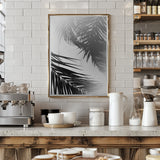 Summer Palms Poster och Canvastavla