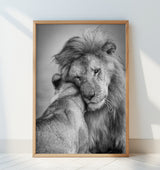 African Love! Poster och Canvastavla