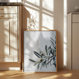 Olives Poster och Canvastavla