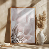 Chrysanthemum No 03 Poster och Canvastavla