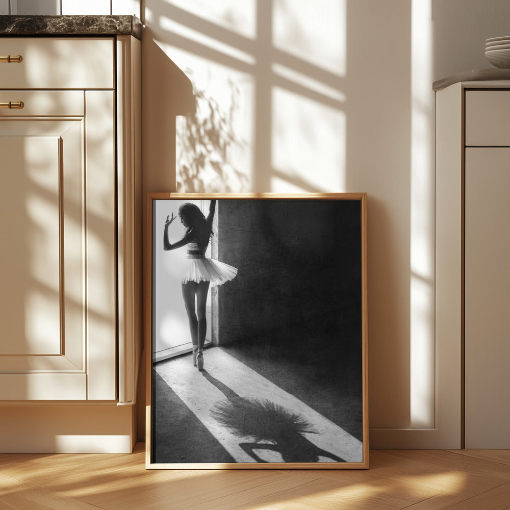 Shadow Dance Poster och Canvastavla