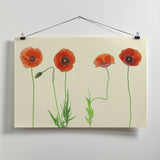 poppy quartet Poster och Canvastavla