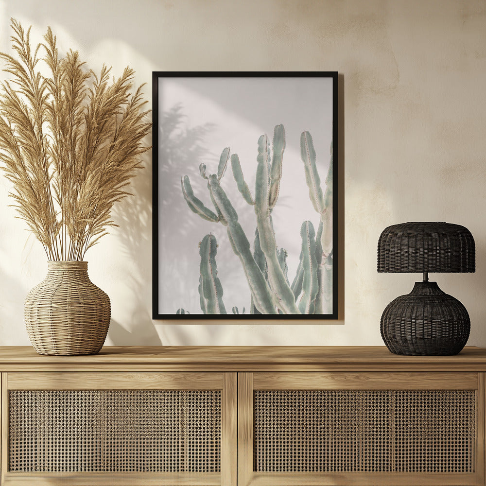 Sunrise Cactus Poster och Canvastavla