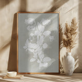 Botanical Illustration 4 Poster och Canvastavla