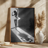 Shadow Dance Poster och Canvastavla