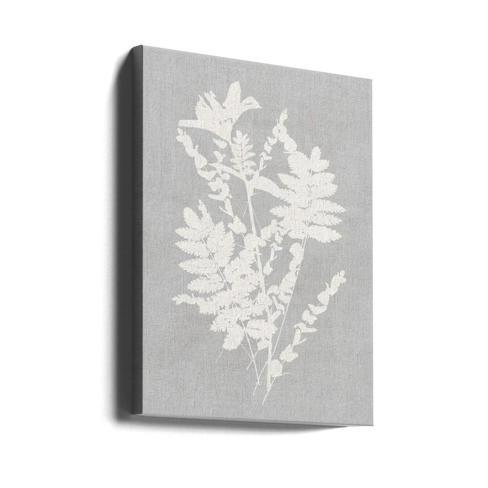 Botanical Illustration 5 Poster och Canvastavla