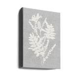 Botanical Illustration 5 Poster och Canvastavla