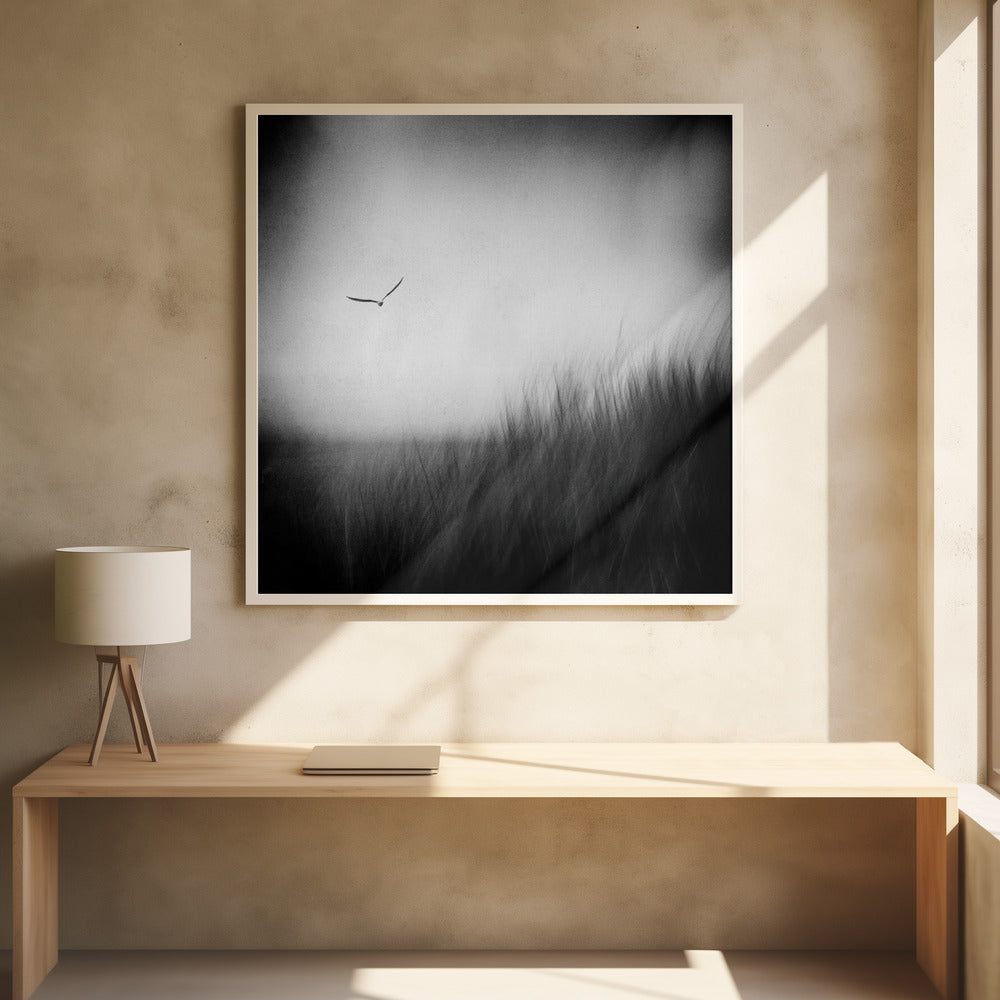 Seagull Poster och Canvastavla