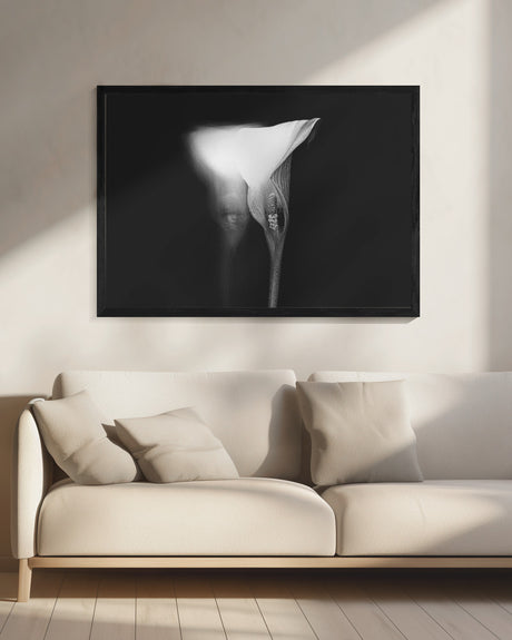 lucid dream Poster och Canvastavla
