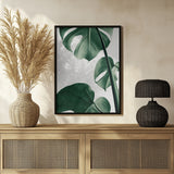 Monstera Natural 37 Poster och Canvastavla