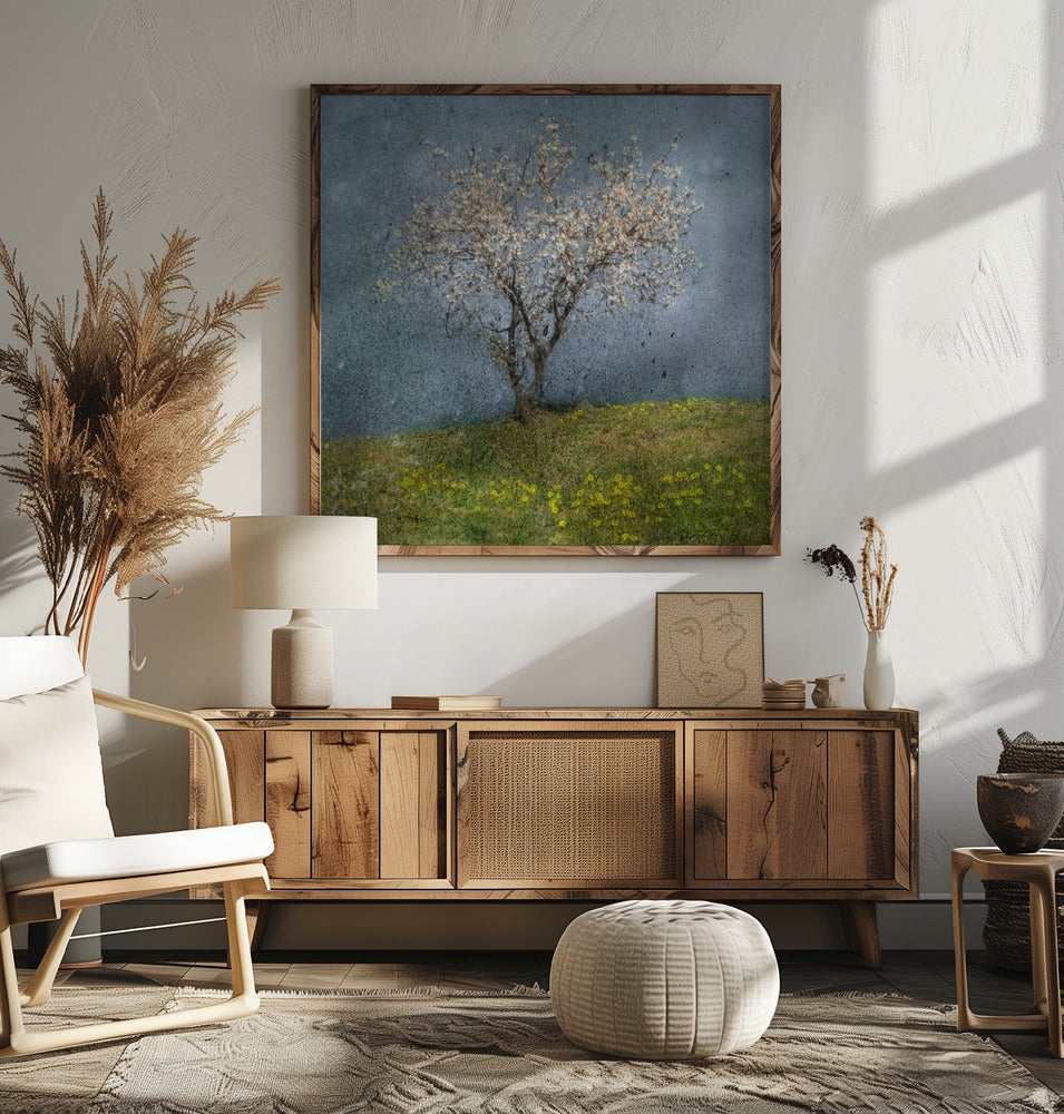 Almond tree Poster och Canvastavla