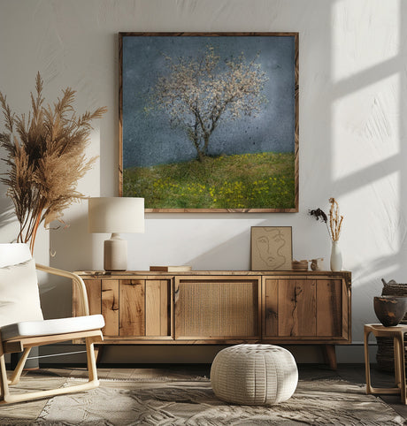 Almond tree Poster och Canvastavla