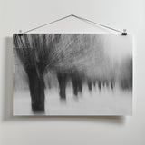 Winterwillows Poster och Canvastavla