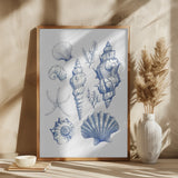 11x14 Shell Collage Poster och Canvastavla