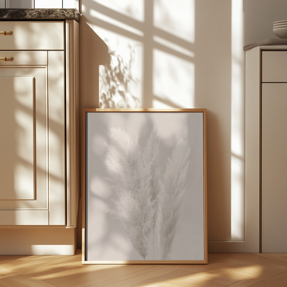 Pampas Grass_002 Poster och Canvastavla