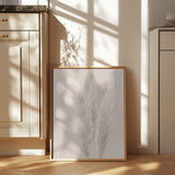 Pampas Grass_002 Poster och Canvastavla