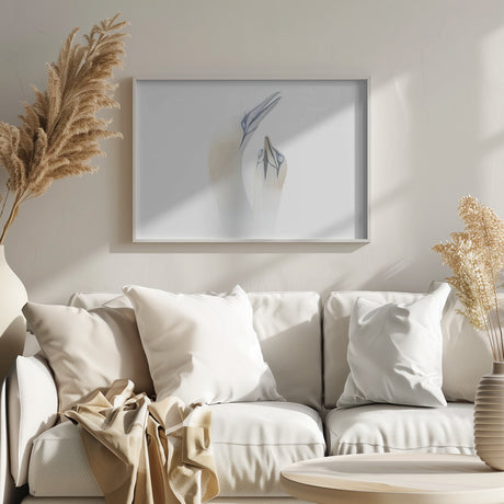 Greeting between a couple of Gannets Poster och Canvastavla
