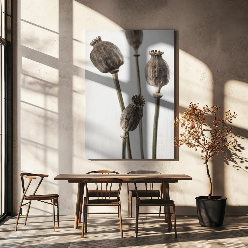 Dried_006 Poster och Canvastavla