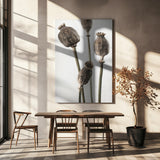 Dried_006 Poster och Canvastavla