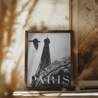 Paris Dove Poster och Canvastavla