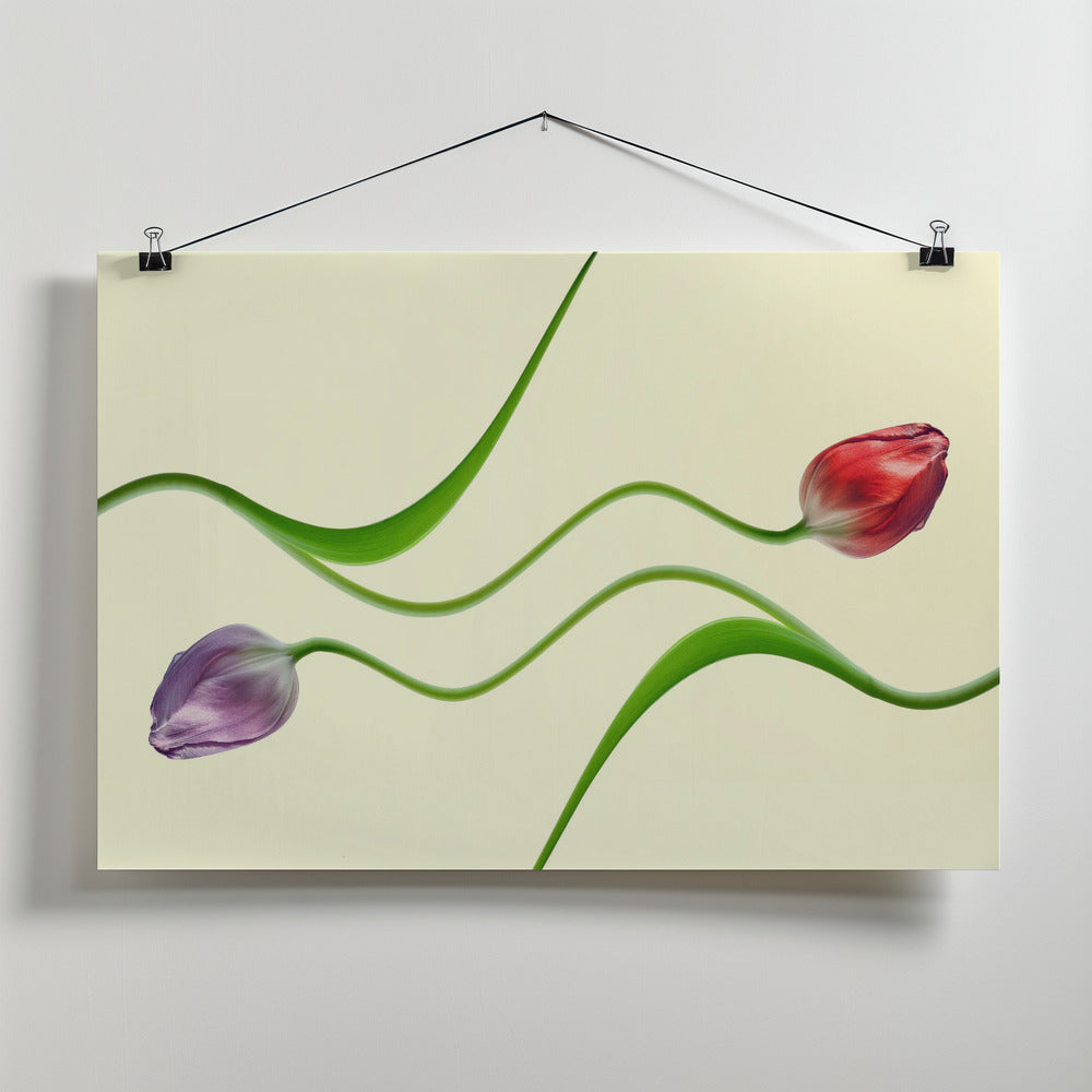 serpentines Poster och Canvastavla