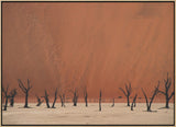 Deadvlei Poster och Canvastavla
