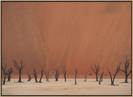 Deadvlei Poster och Canvastavla