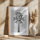 Eryngium Bourgatii Poster och Canvastavla