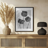 Abutilon (Lime Mallow Poster och Canvastavla