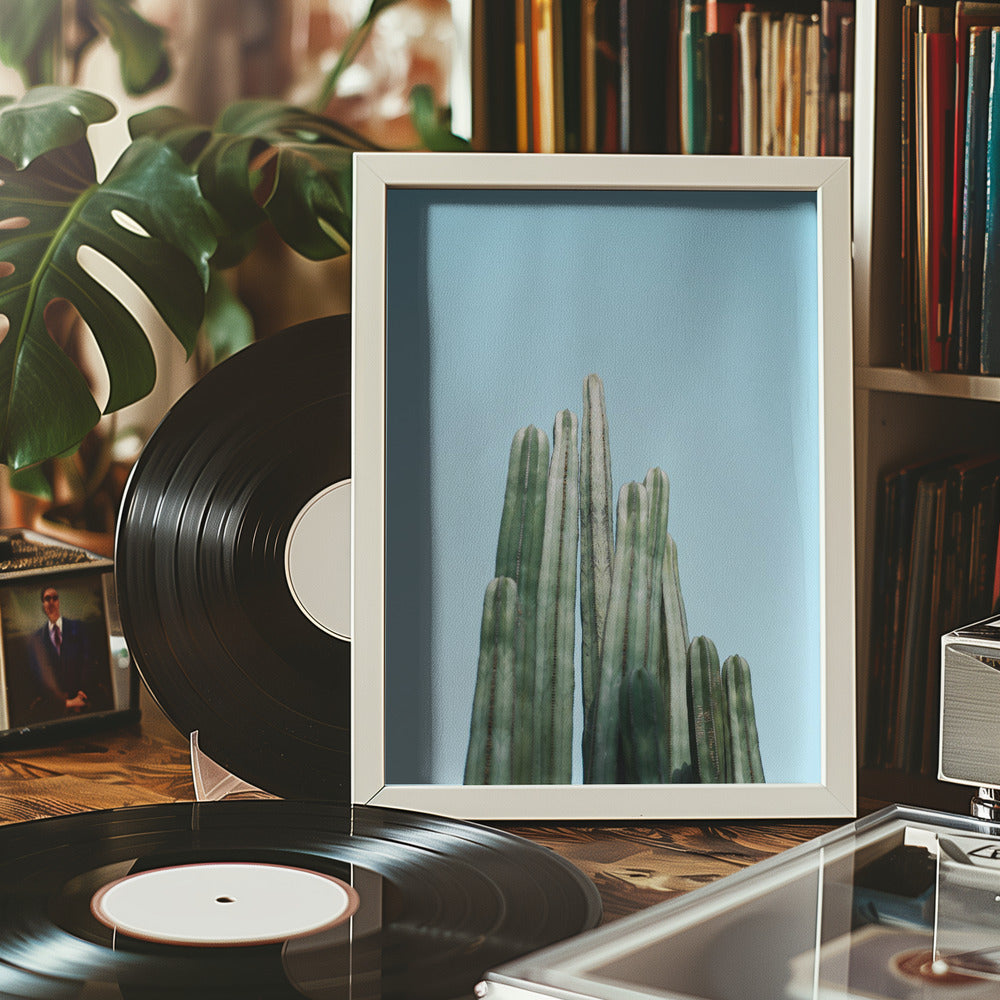 Cacti Poster och Canvastavla
