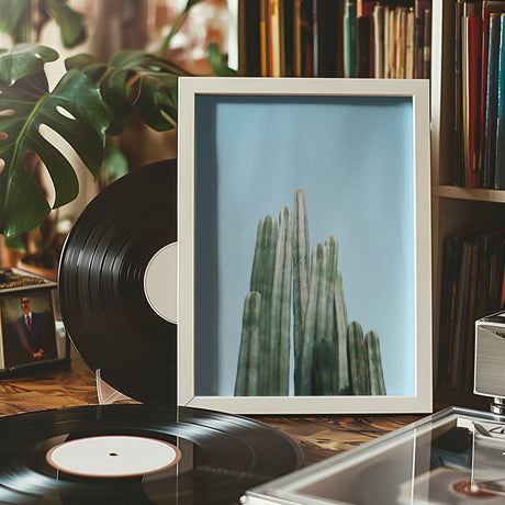 Cacti Poster och Canvastavla