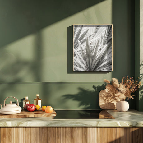 Lala Palm Poster och Canvastavla
