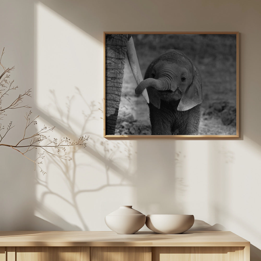 Close Poster och Canvastavla