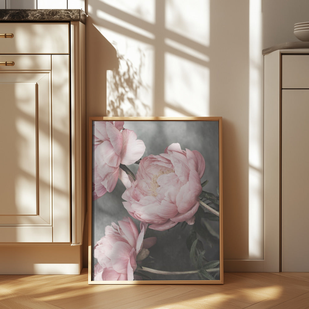 01643 Poster och Canvastavla