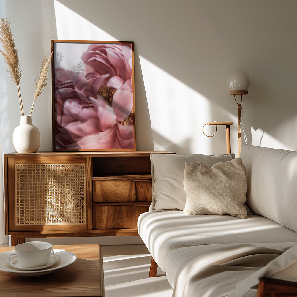 Peony Poster och Canvastavla