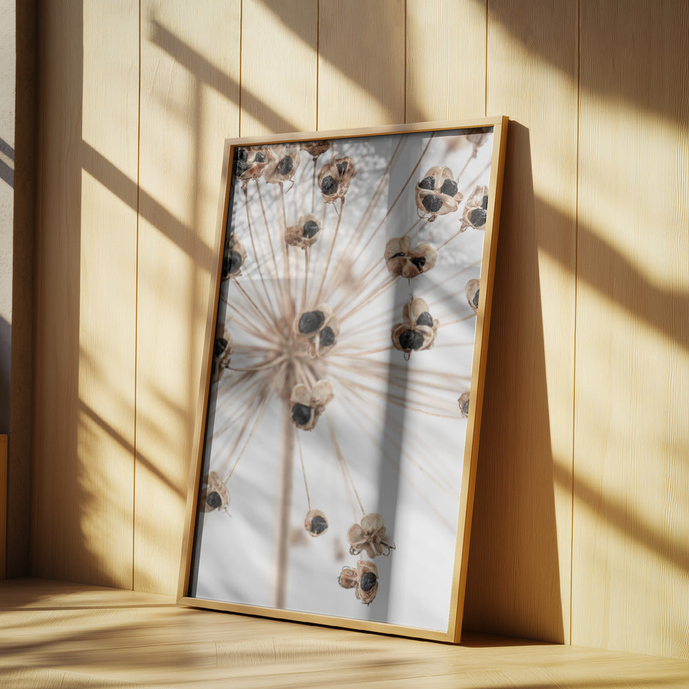 Dried_007 Poster och Canvastavla