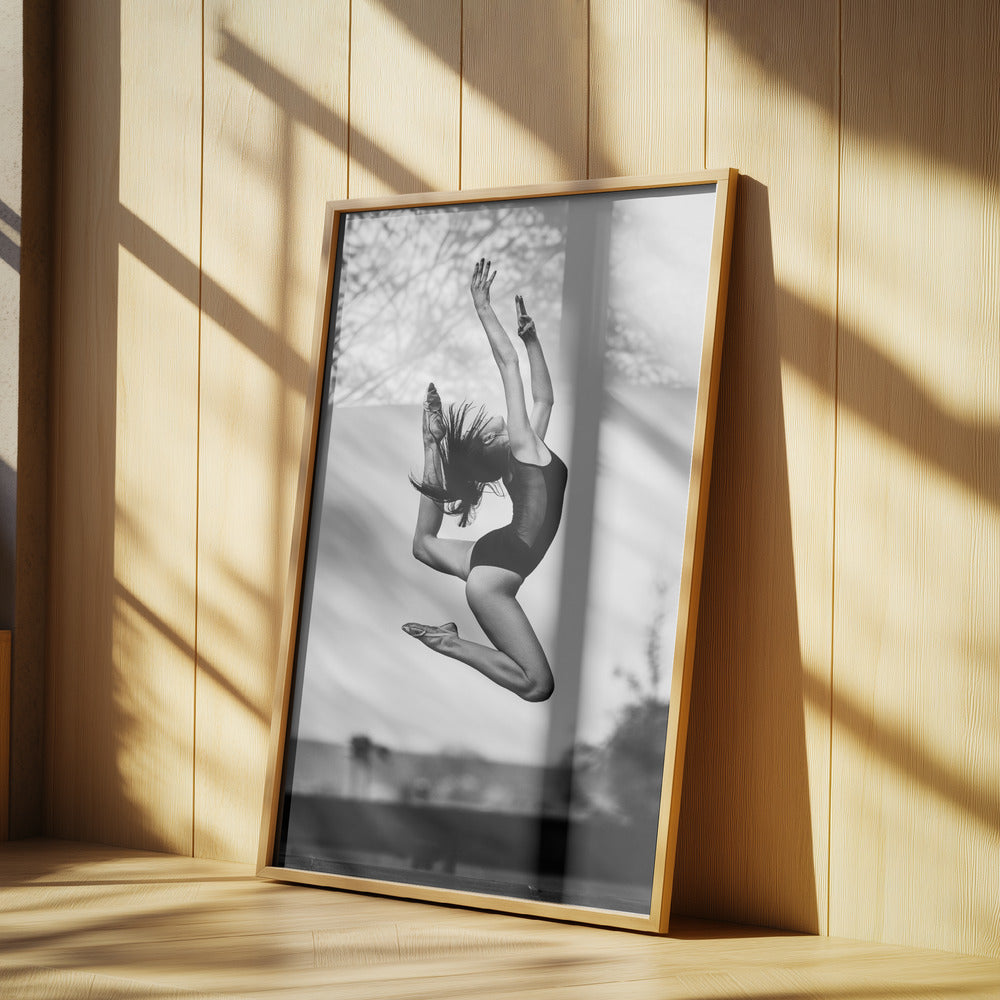 Dance [Radka] Poster och Canvastavla