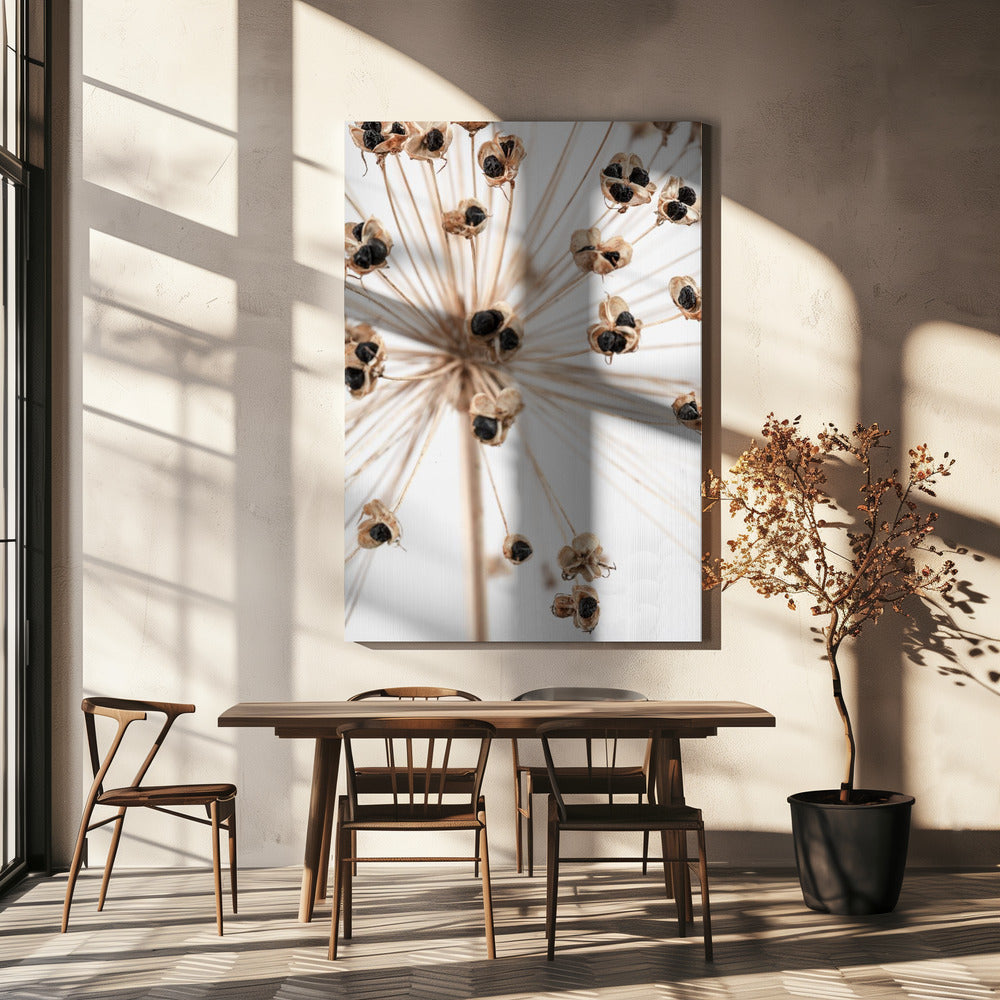 Dried_007 Poster och Canvastavla