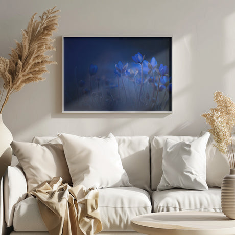 Out of the blue Poster och Canvastavla
