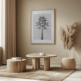 Eryngium Bourgatii Poster och Canvastavla