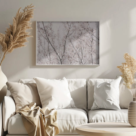 Spring blossoms Poster och Canvastavla