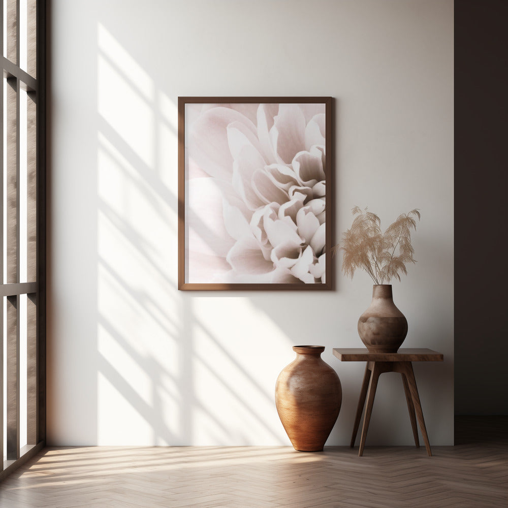 Chrysanthemum No 02 Poster och Canvastavla