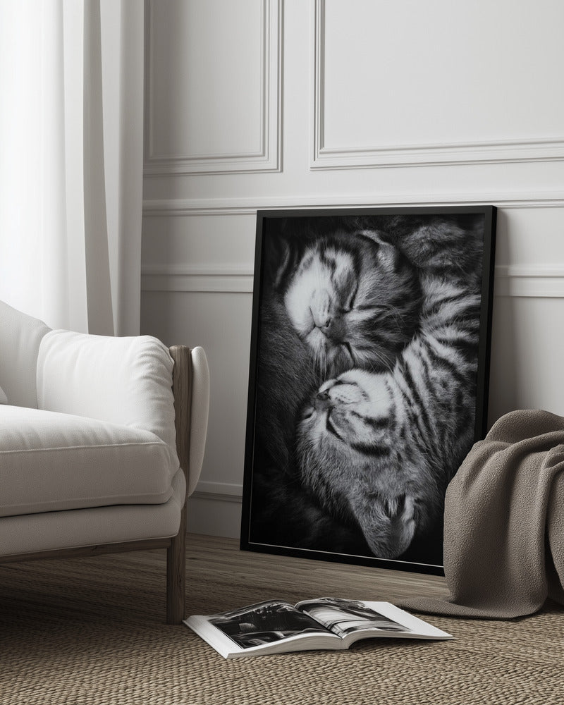Yin and Yang Poster och Canvastavla