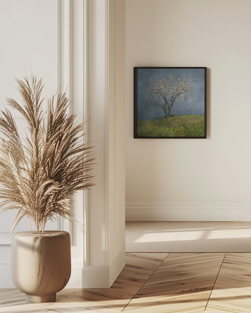 Almond tree Poster och Canvastavla