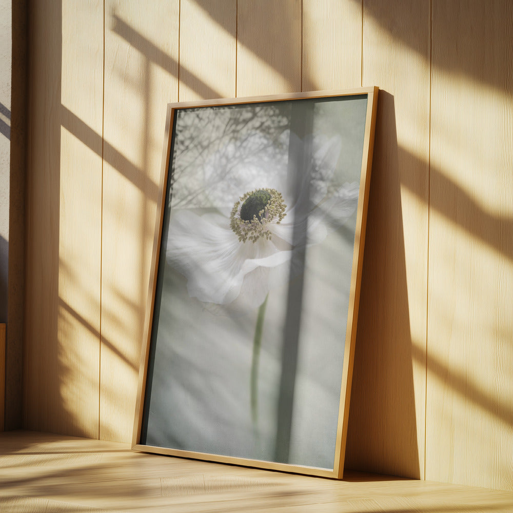 Single White Poster och Canvastavla