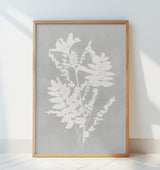 Botanical Illustration 5 Poster och Canvastavla